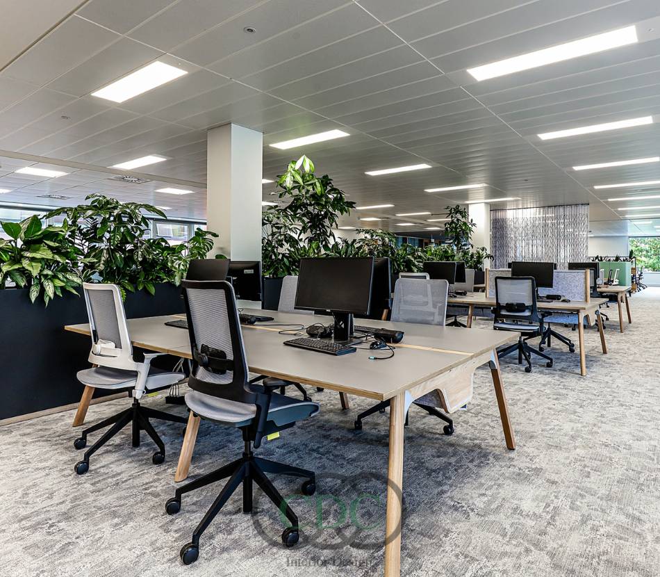 Thiết kế nội thất văn phòng showroom chuyên nghiệp tại Hà Nội – Giải pháp tối ưu từ CDC Việt Nam Group